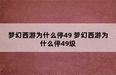 梦幻西游为什么停49 梦幻西游为什么停49级